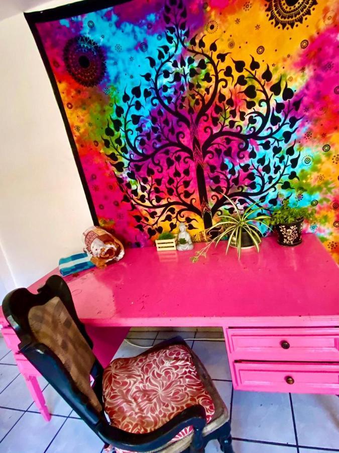 Free Spirit Hostel กัวดาลาฮารา ภายนอก รูปภาพ